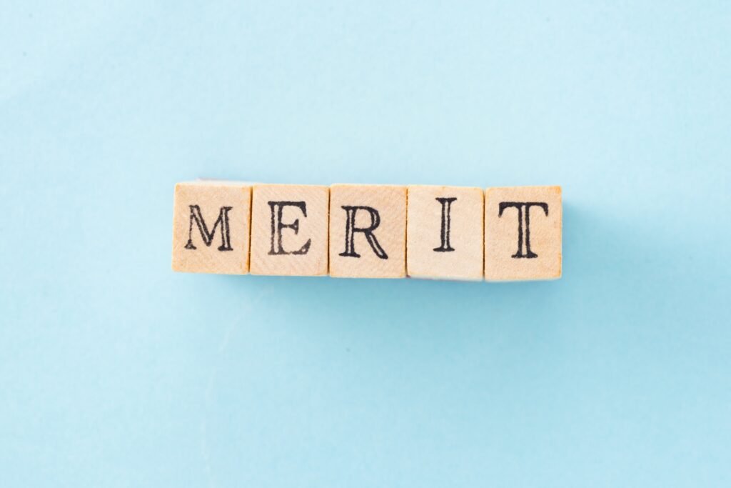 MERITと印字されたブロックの画像